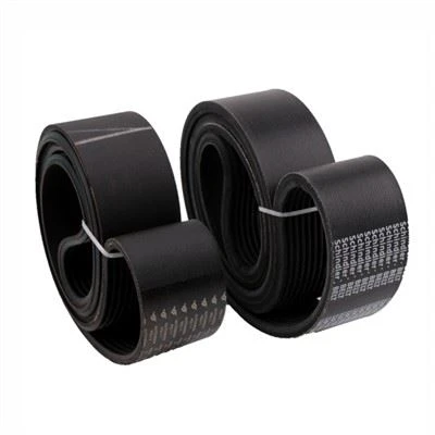 Cinturón para escaleras mecánicas Schindler PL1841 12PL1841